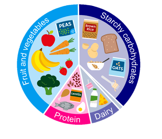 Illustration or pie chart of healthy, balanced meals - fruit and vegetables, dairy, protein, starchy carbohydrates.